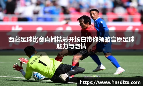 西藏足球比赛直播精彩开场白带你领略高原足球魅力与激情